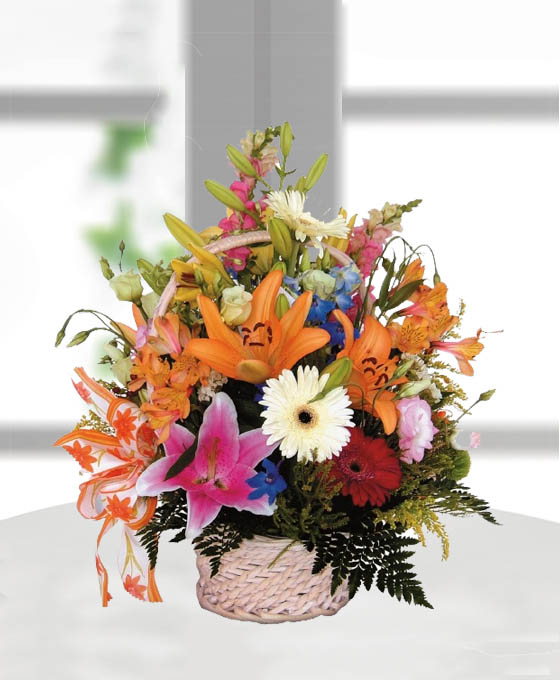 Cesta Flor Egipto