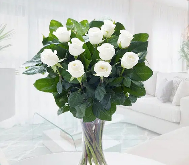 Rosas 02