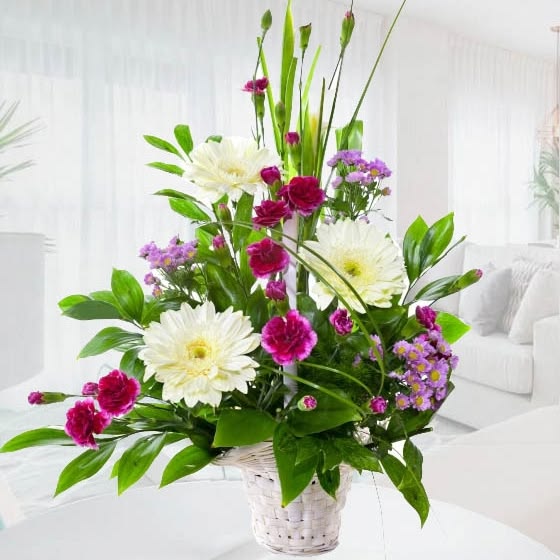 20b7540905d09e8c85d0a59a95d95551