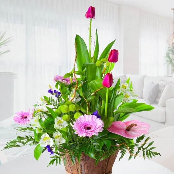 3d536223d023d4d93ad5d09d63fa3ca6