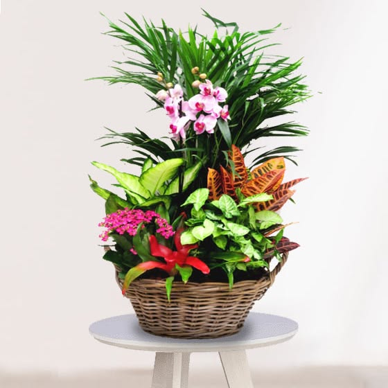 42ba59c6642c074e7b4f9618cd3b6a2e