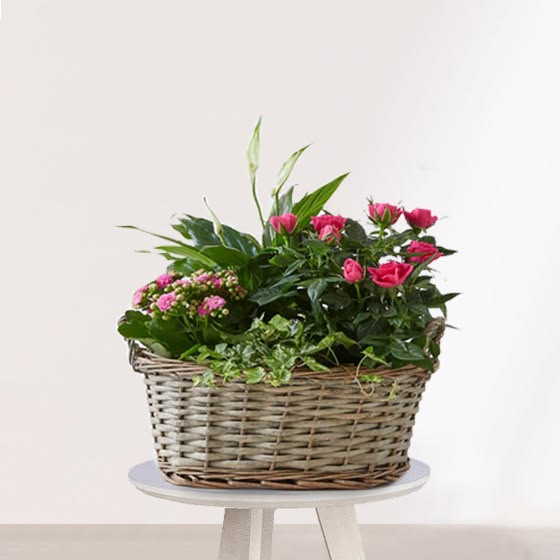 67efee97b7d8b3f704d631ce17387673