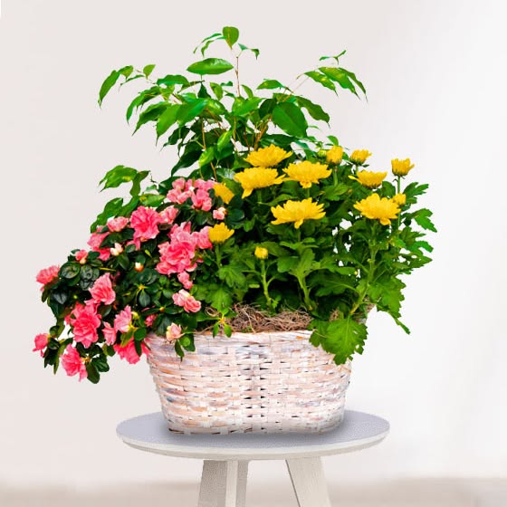 6c3c76a2a95afabbdd930ff6ab07d9b7