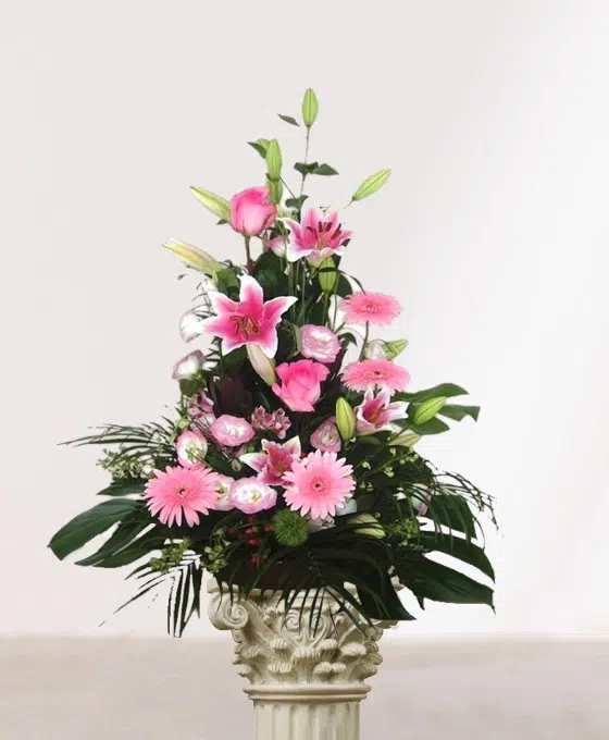 Centro Flores Liberia